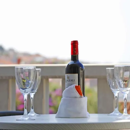Mijic 743 Guest house